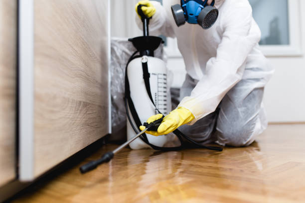 Best Affordable Pest Control Services  in Greenbriar, VA