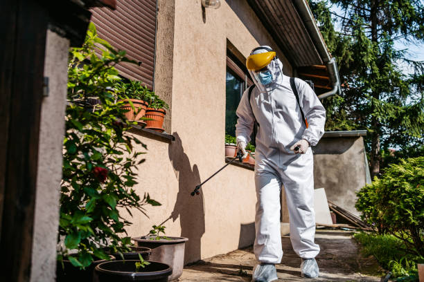 Best Pest Prevention Services  in Greenbriar, VA