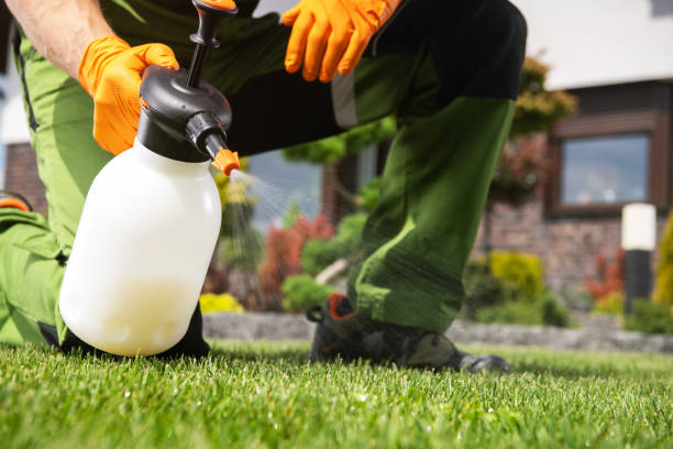 Best Pest Removal Services  in Greenbriar, VA