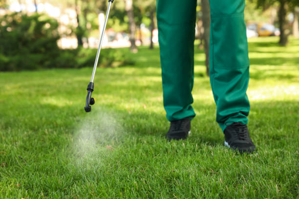 Best Ant Control Services  in Greenbriar, VA