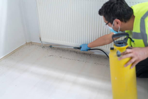Flea Control Services in Greenbriar, VA
